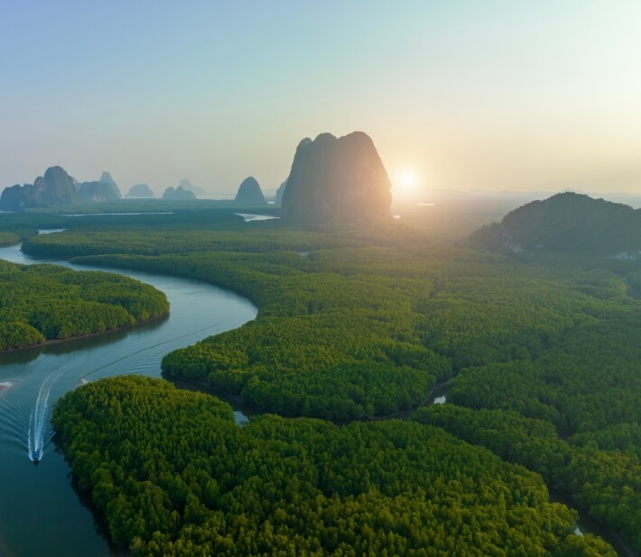 Pyrolysis recycling & Pyrolysis oil